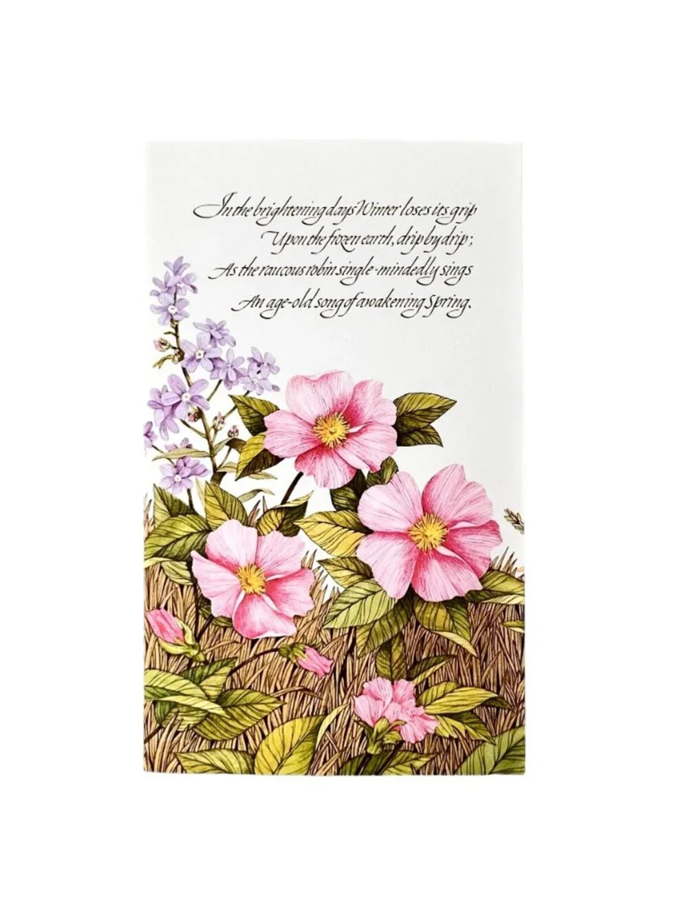 Vintage 1978 Current Inc Keepsake Greetings Tri-Fold Card Set of 4 Nature Theme